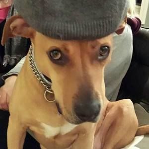 Meet your Posher, Rhonda